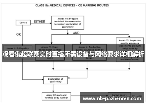 观看俄超联赛实时直播所需设备与网络要求详细解析