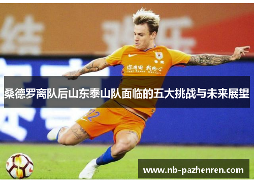 桑德罗离队后山东泰山队面临的五大挑战与未来展望