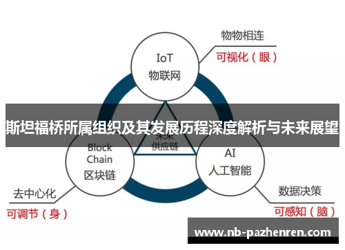 斯坦福桥所属组织及其发展历程深度解析与未来展望