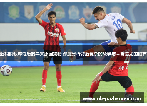 武桐桐缺席背后的真实原因揭秘 深度分析背后复杂的故事与未曾曝光的细节