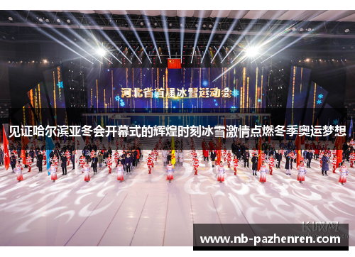 见证哈尔滨亚冬会开幕式的辉煌时刻冰雪激情点燃冬季奥运梦想