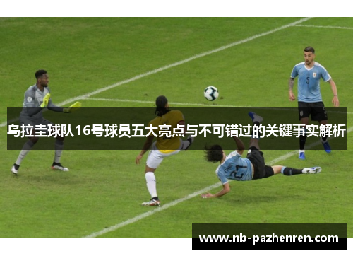 乌拉圭球队16号球员五大亮点与不可错过的关键事实解析