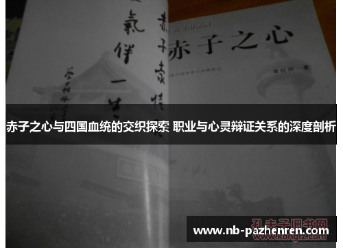 赤子之心与四国血统的交织探索 职业与心灵辩证关系的深度剖析