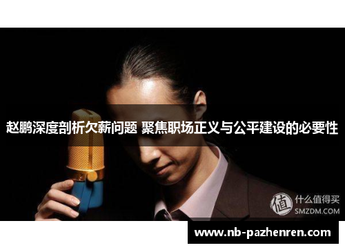 赵鹏深度剖析欠薪问题 聚焦职场正义与公平建设的必要性