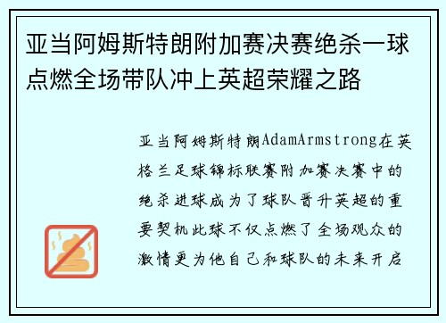 亚当阿姆斯特朗附加赛决赛绝杀一球点燃全场带队冲上英超荣耀之路