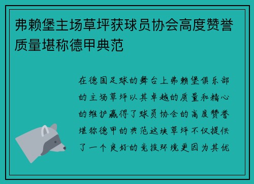 弗赖堡主场草坪获球员协会高度赞誉质量堪称德甲典范